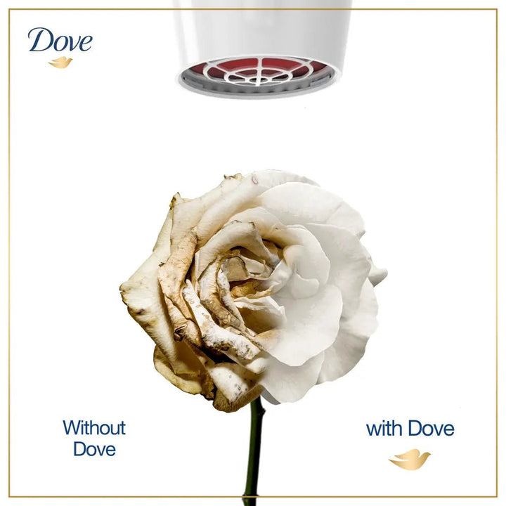 Dove Conditioner Intense Repair - 180Ml Dove - Unilever Pakistan - Luxeery