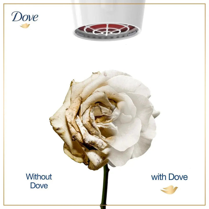 Dove Shampoo Intense Repair - 175Ml Dove - Unilever Pakistan - Luxeery